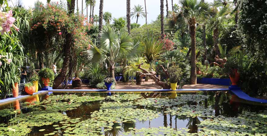 Teich im Jardin Majorelle, Marrakesch