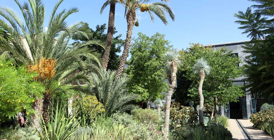 Exotischer Teil im Jardin Secret, Marrakesch