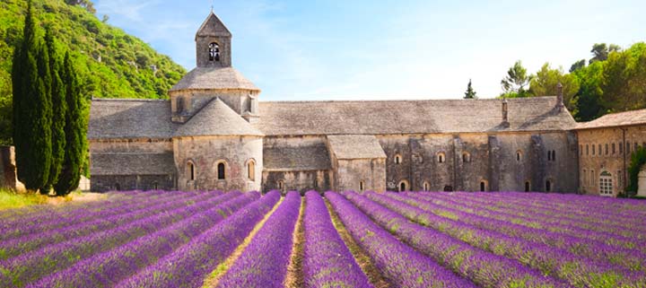 Reisebericht über die Provence