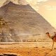 Die besten Reisetipps für Ägypten