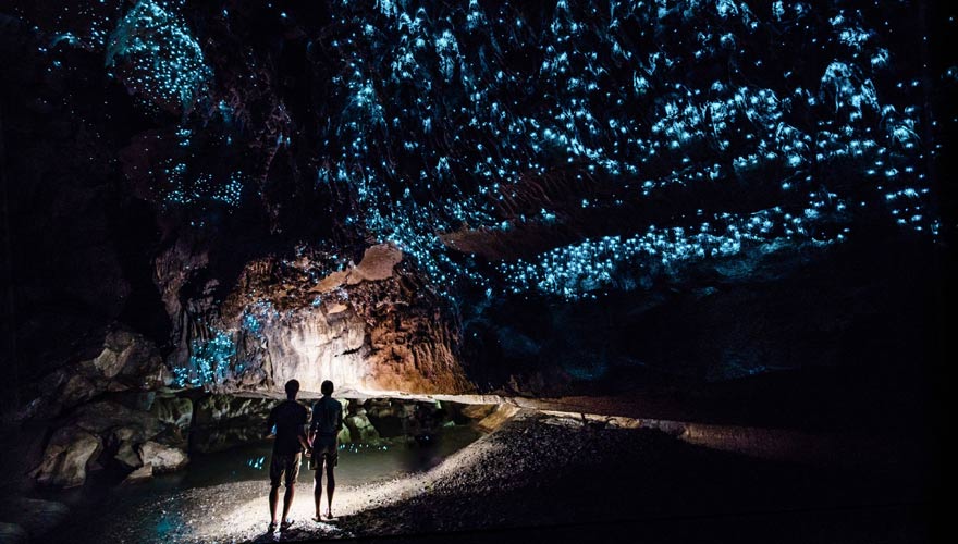 Waitomo Glühwürmchenhöhle in Neuseeland