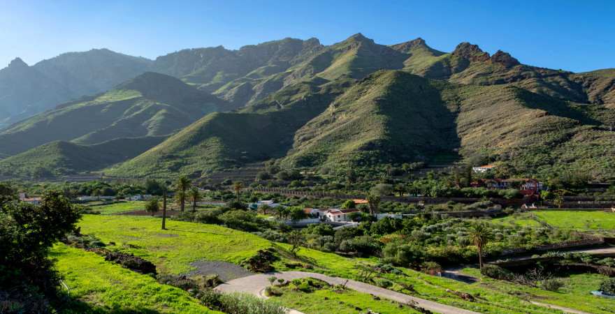 Grünes Tal mit Plantagen bei Agaete auf Gran Canaria