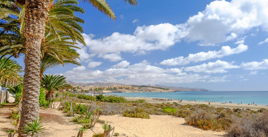 Palmen, Strand und Meer an der Costa Calma auf Fuerteventura