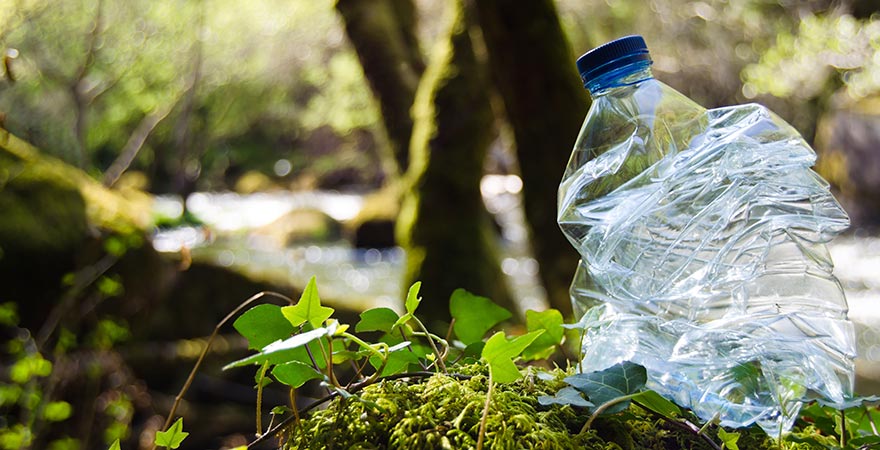 Plastikflasche im Wald