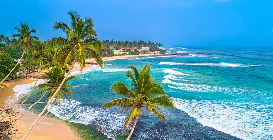 Strand und Palmen am Unawatuna Beach in Sri Lanka