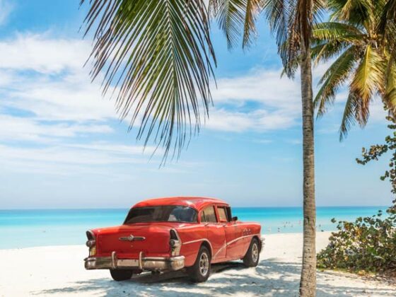 Rotes Auto unter Palmen am Strand von Kuba